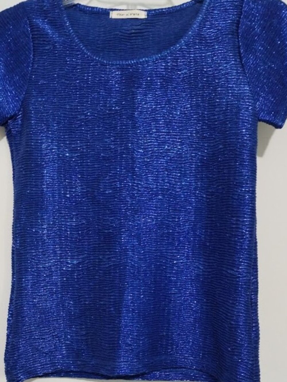 Glittery Short Sleeve Top (Brand New Without Tag)